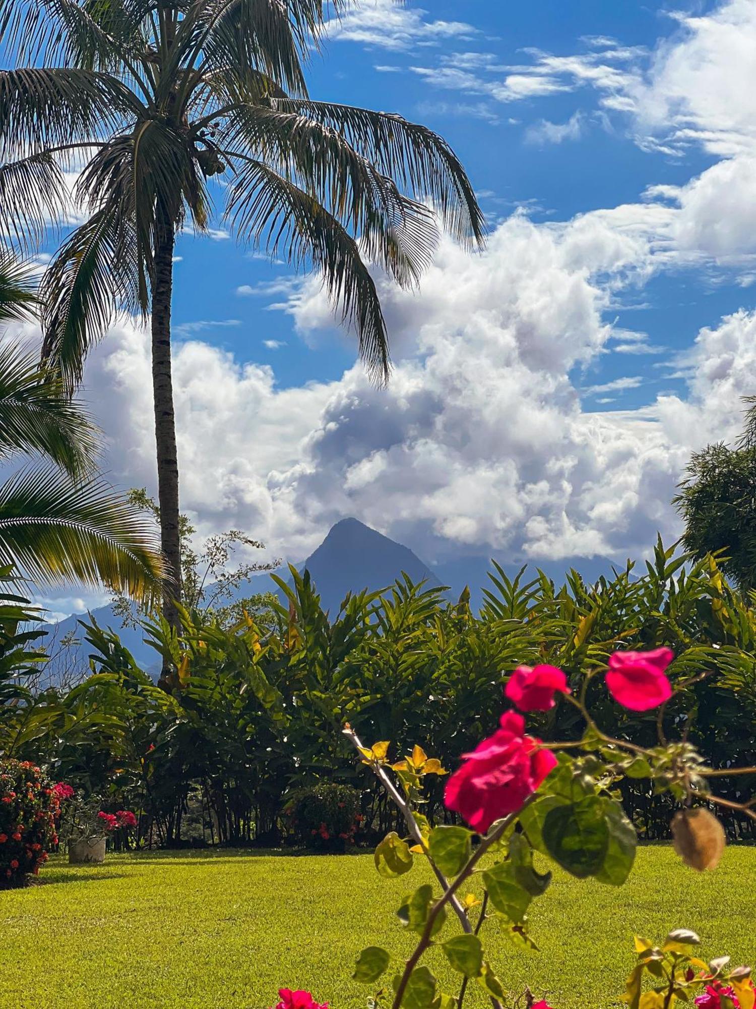 Fina Estampa Country Hotel - Mayores De 10 Anos - Támesis エクステリア 写真