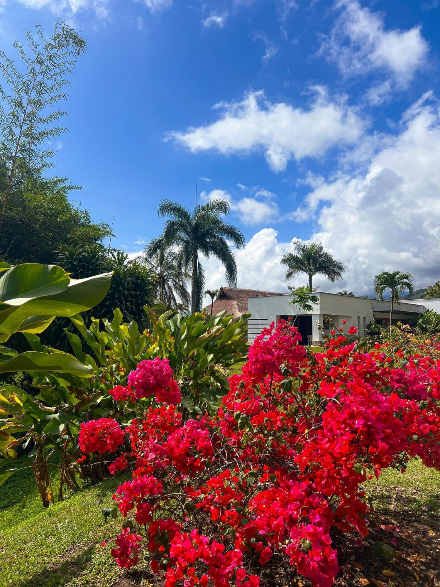 Fina Estampa Country Hotel - Mayores De 10 Anos - Támesis エクステリア 写真